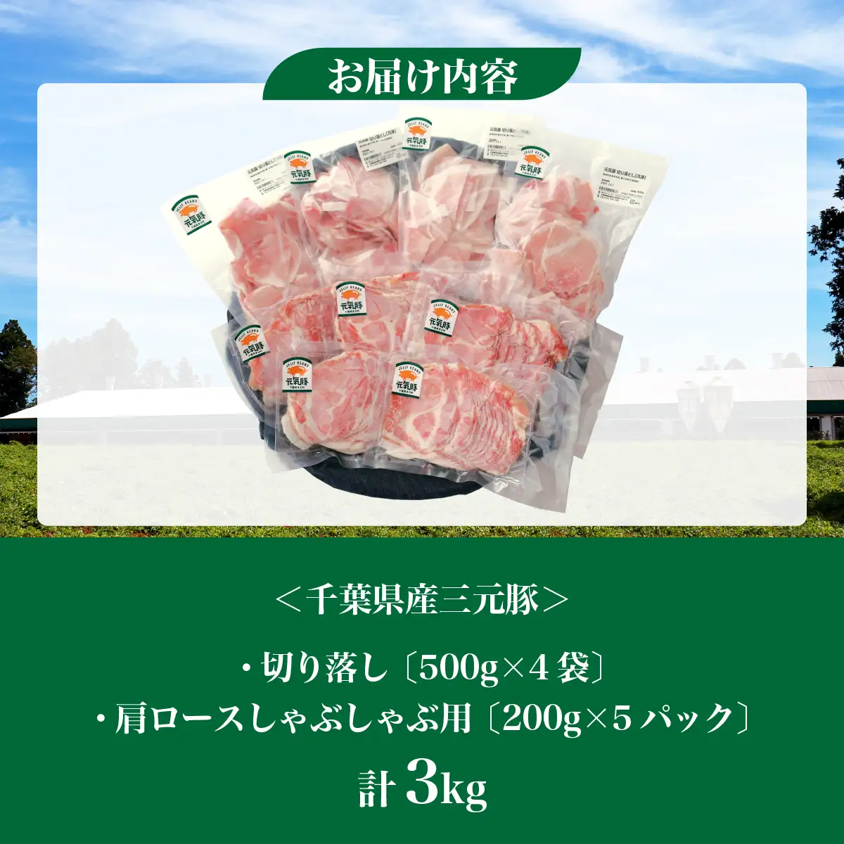 【農場直送】千葉県産三元豚　元気豚 精肉セット 3kg　 TAKB009