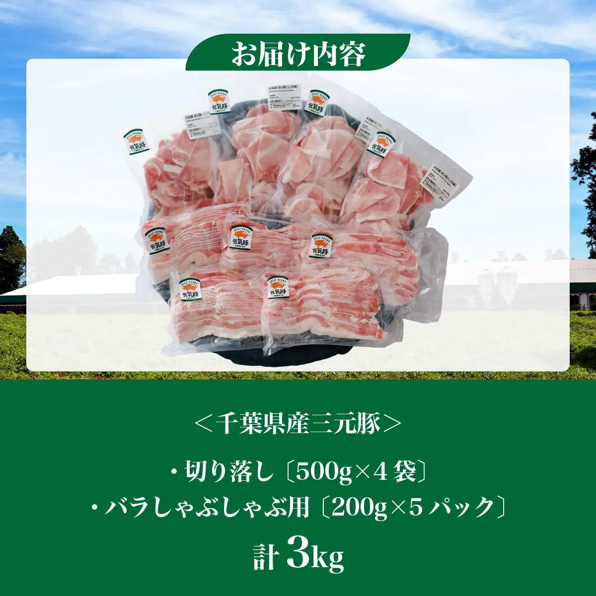 【農場直送】千葉県産三元豚　元気豚 切り落しとバラしゃぶしゃぶ用精肉セット 3kg　 TAKB010
