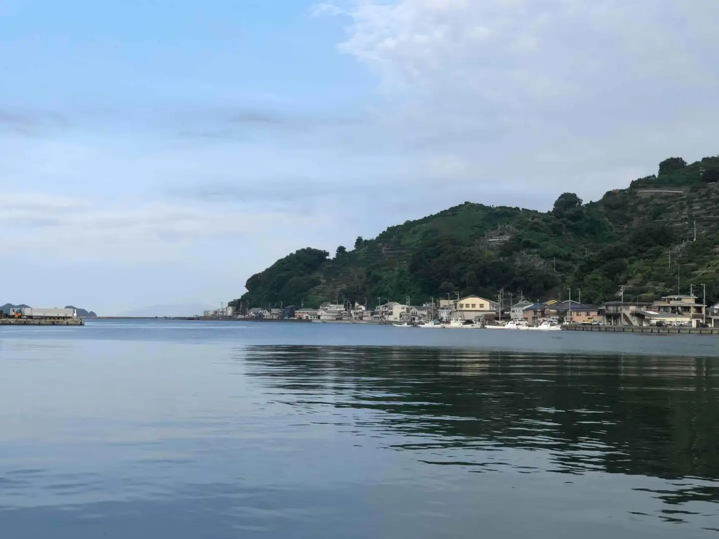 竹中水産の真鯖5キロ!【F22-241】【配送不可地域：離島・北海道・沖縄県・東北・関東・信越、北陸・東海・九州】【1073402】 YWTM059