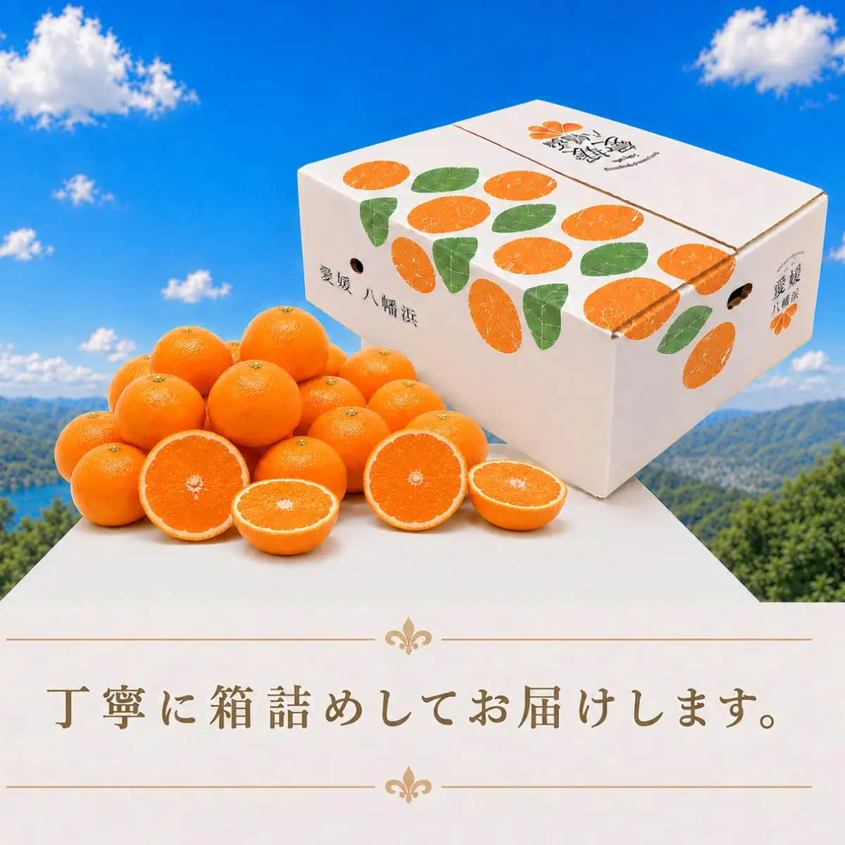 【先行受付】完熟・口いっぱいに広がる、贅沢な果汁!!「きよみ」約5kg　【D39-34】【1262235】 YWTF015