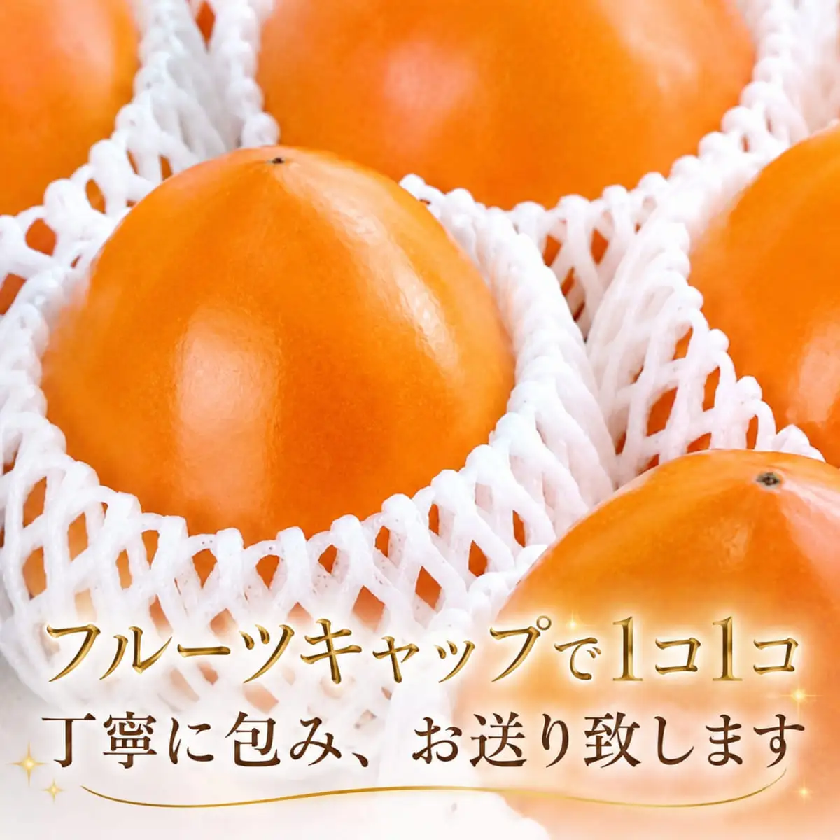 【先行受付】甘さにニッコリ日本最大級の柿「富士柿」約5キロ 【D39-15】【配送不可地域：離島・北海道・沖縄県】【1236930】 YWTF007
