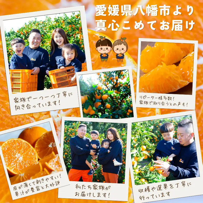 【発送月固定定期便】「こたつの上の冬物語」夕やけみかん(4kg)【F49-71】全2回【4056122】 YWTZ003