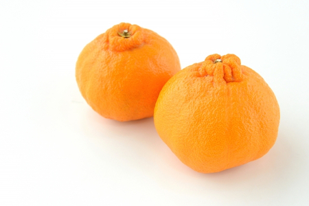 【先行受付】「芳醇」八幡浜産しらぬい約4kg【C28-7】【1119942】 YWTN004