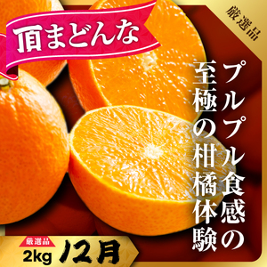 【発送月固定定期便】柑橘【みかん・まどんな・せとか・ニューサマーオレンジ】【H31-46】全4回【配送不可地域：離島】【4058612】 YWTAC035
