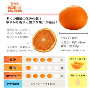 【先行受付】あふれる果汁と濃厚な甘み!「清見」5kg入【C28-21】【1119941】 YWTN014