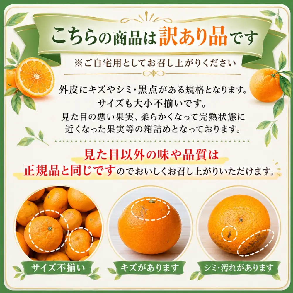 【先行受付】柑橘の大トロ!「せとか」約2.5キロ【訳あり品・家庭向け】【C39-65】【配送不可地域：離島】【1619102】 YWTF040