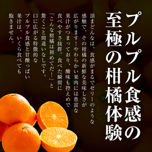 【先行受付】頂みかんプレミアム＆頂まどんな 食べ比べ2箱セット【各3kg】【G31-53】【1643194】 YWTAC042
