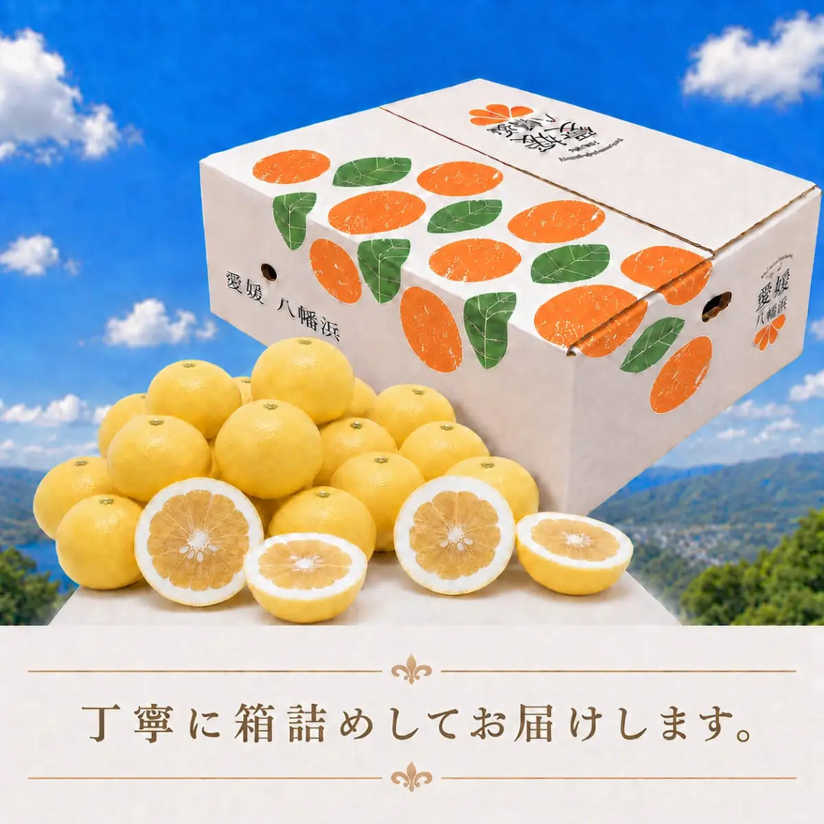 【先行受付】さわやかな香りと上品な甘さ!「ニューサマーオレンジ」約5キロ【D39-83】【配送不可地域：離島】【1649781】 YWTF058