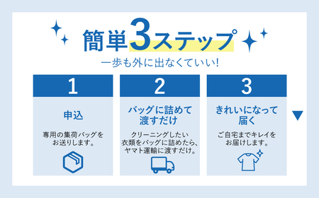 衣類 クリーニング 15点｜クリーニング
