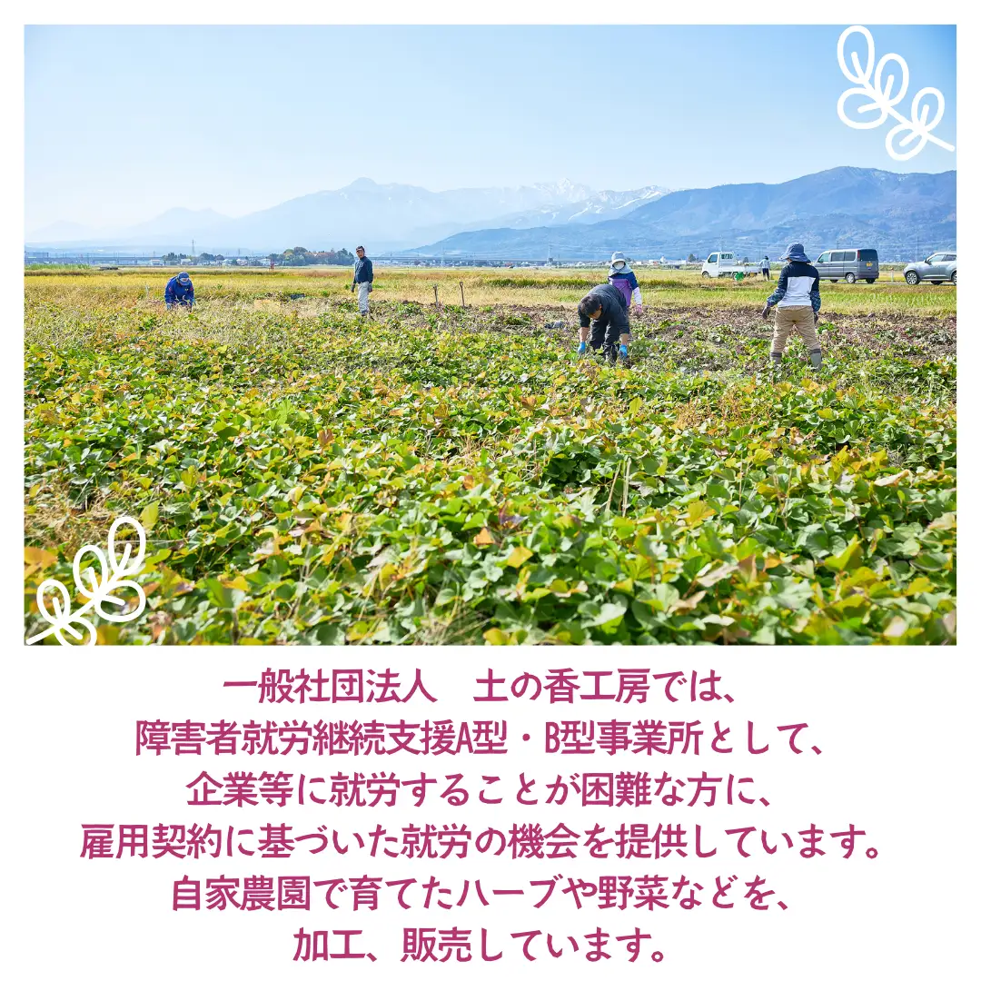 しそジュース 赤しそ シロップ 濃縮 100g 5袋 セット 3倍希釈 手作り 紫蘇ジュース 紫蘇 赤紫蘇 赤シソ しそ 着色料不使用 保存料不使用 国産 新潟県 上越市
