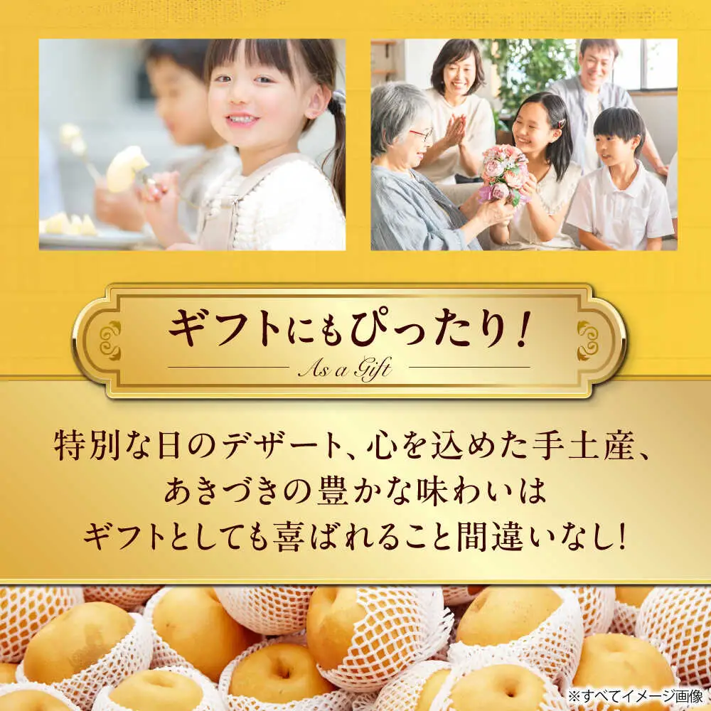 梨【2025年9月中旬から順次発送】特選 あきづき 梨 2kg（5個から7個入り）[AGBD008]