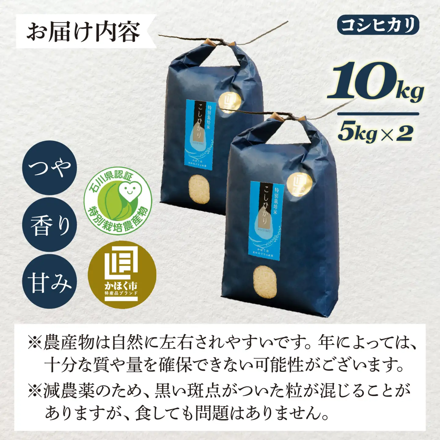 【先行予約】こしひかり 10kg【2026年12月発送】｜ コシヒカリ お米