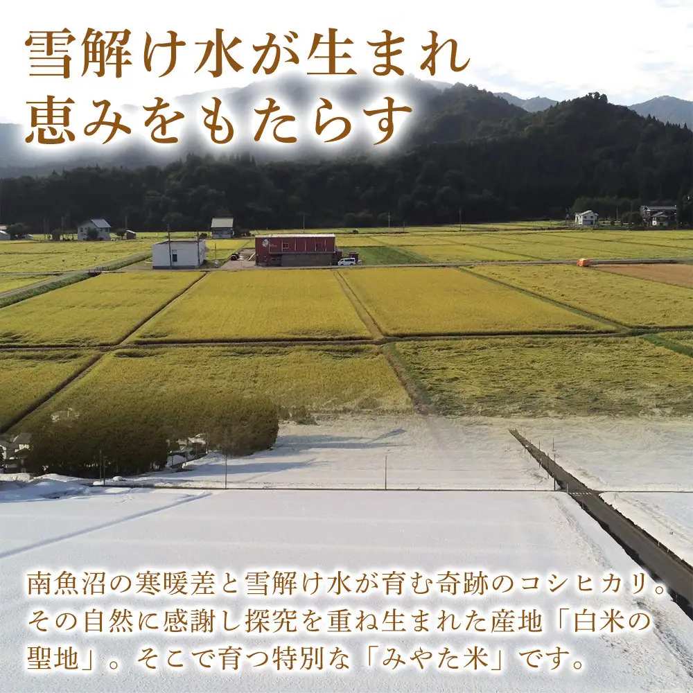 【令和8年産新米予約】【定期便6ヶ月】南魚沼産こしひかり　みやた米20kg（5kg×4袋）【定期便 銘柄米 ブランド米 精米 こしひかり コシヒカリ 魚沼産 新潟米 お米 米】【2026年10月上旬より1ヶ月以内に順次発送予定】