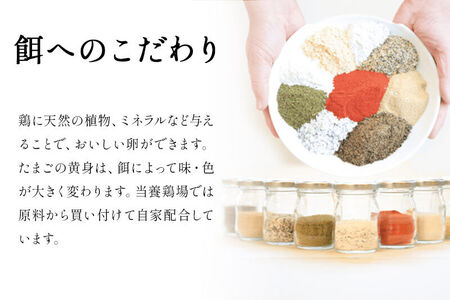《定期便6ヶ月》 たまごの樹 純国産鶏種 卵『もみじ』76個+割れ保証4個付き（10個入×8パック）