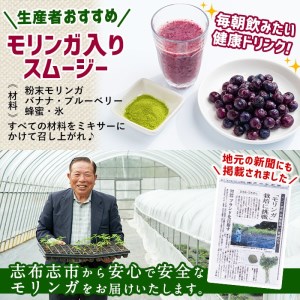 a3-178 Matakiさん家の「有機 モリンガ」20g