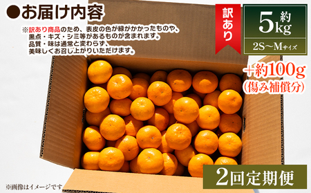 【２回定期便】みかん 5kg 柑橘詰合せ 先行受付 みかん Ｗmn-0017
