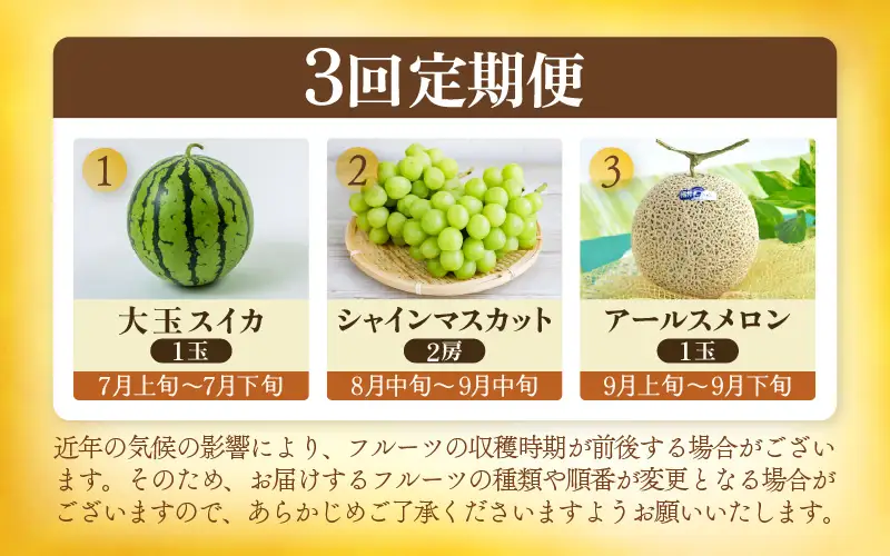 【先行予約】【定期便 3回コース】坂井市フルーツ三昧！！お試し3回コース (アールスメロン1玉 ＆ シャインマスカット1房 ＆ 大玉スイカ1玉) 【2027年6月中旬以降順次発送予定】 [E-3216]