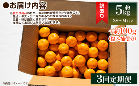 【３回定期便】みかん 5kg 柑橘詰合せ 先行受付 みかん Wmn-0018