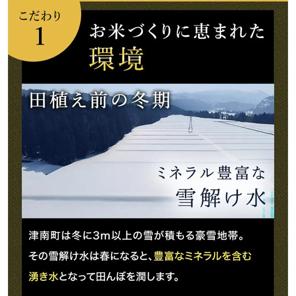 【定期便 12ヶ月】【令和8年産】魚沼産コシヒカリ 雪椿 5kg(5kg×1袋) × 12回 特別栽培米