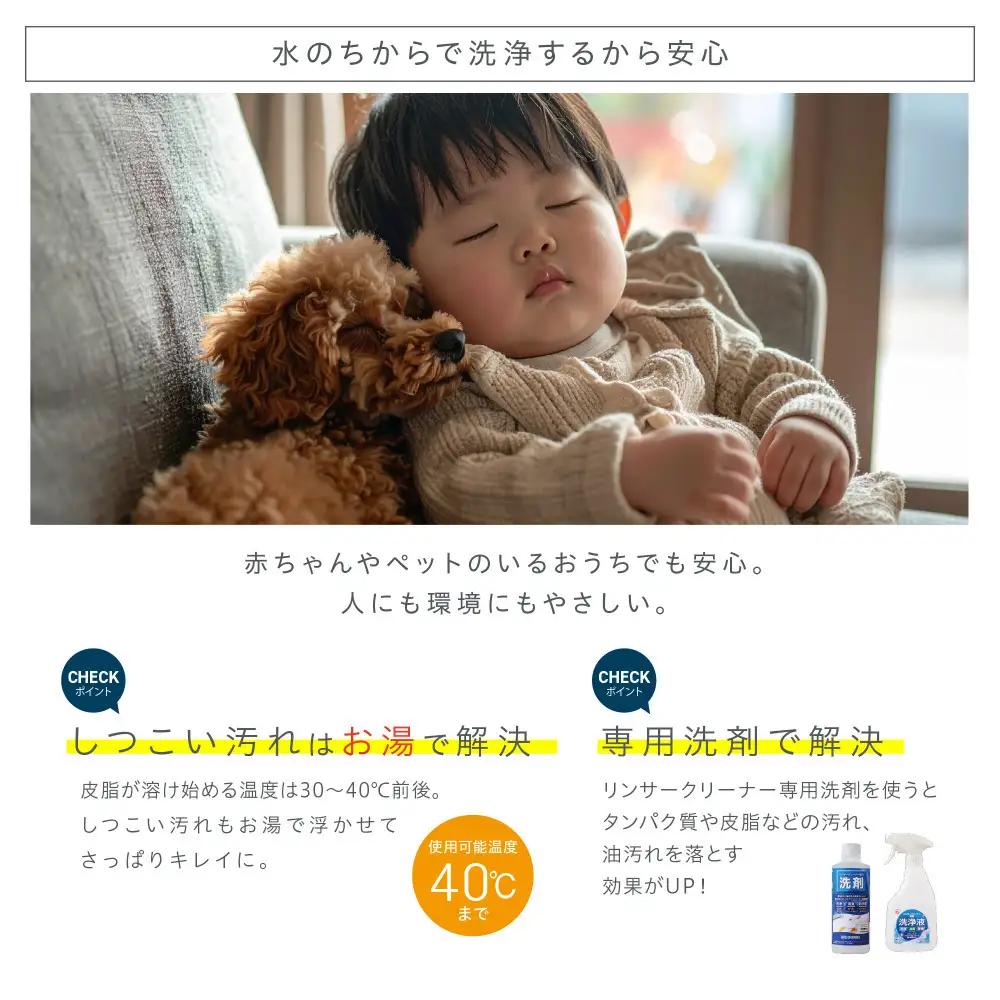  リンサークリーナー 洗浄機 クリーナーカーペット アイリスオーヤマ RNSH-P10