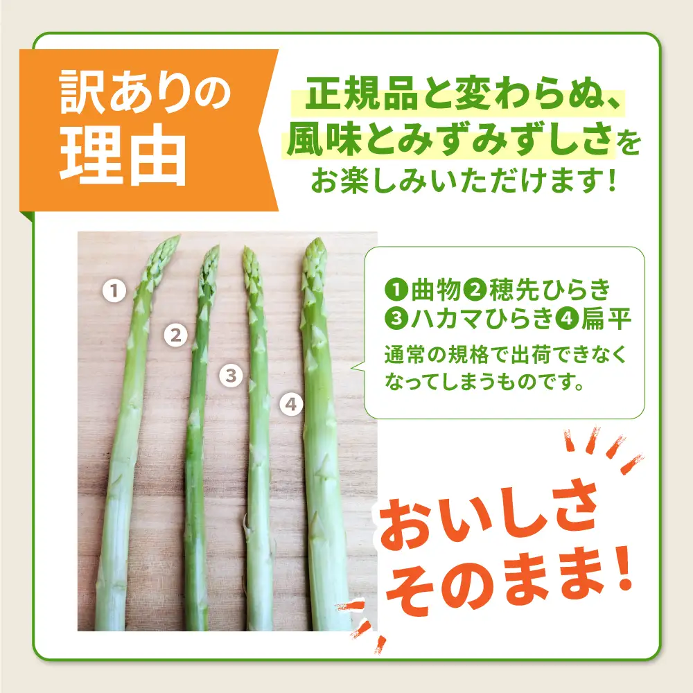 【訳あり】【星のアスパラ】グリーンアスパラガス 約1kg 【サイズ不揃い L-S】 / 訳アリ 規格外 産地直送 アスパラ あすぱら あすぱらがす 採れたて 新鮮 旬 産地直送 / 南島原市 / ほしのYA[SEY021]
