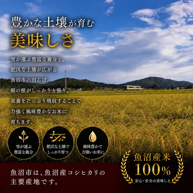 令和8年産 魚沼産コシヒカリ 惣五郎（精米）2kg お米 