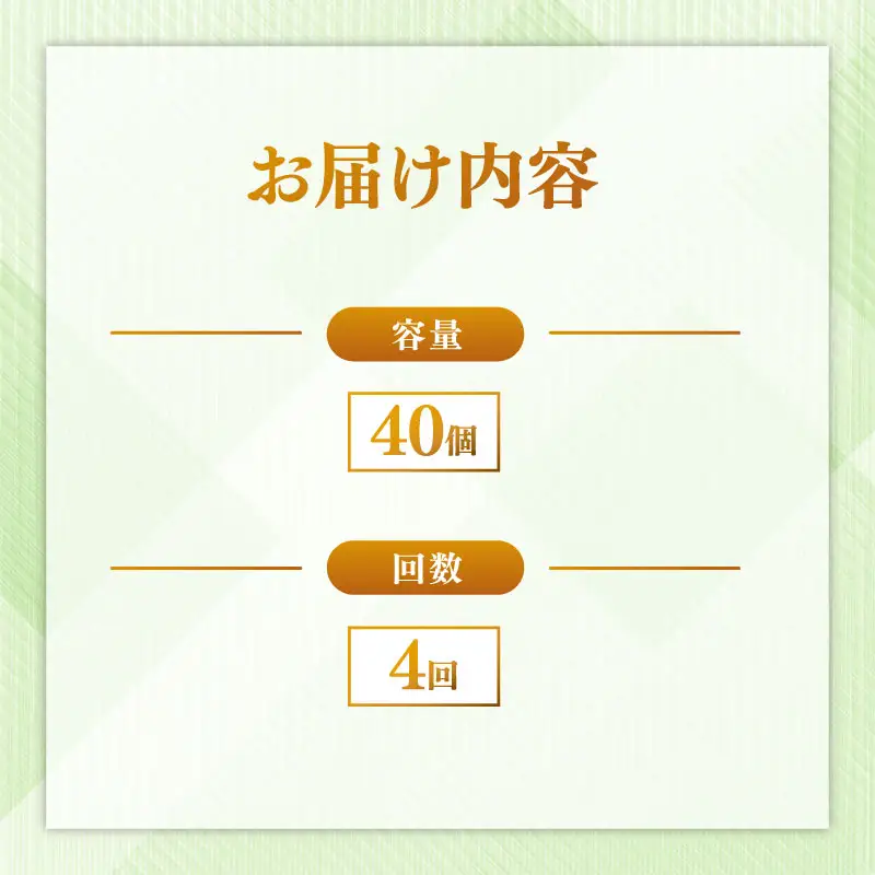 定期便 パックごはん 白米 40個×4回