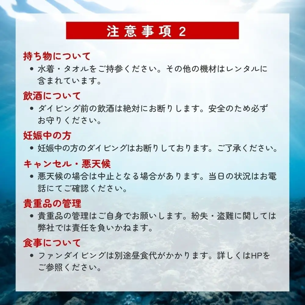【ダイビング】和歌山県みなべ町で感動体験！サンマリン ファンダイビング（2ボート・2名様）【smr001】