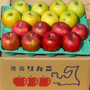 りんご 【 3月発送 】 糖度13度～家庭用 サンふじ ・ 王林 詰め合わせ 約 10kg