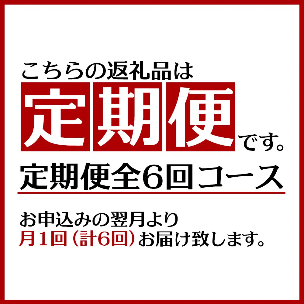 【定期便：6回】鶏白湯ラーメン 2人前（480g×2袋） 沖縄 大宜味村 らーめん こだわり 2人前 2袋 ふるさと納税 送料無料 ご当地 お取り寄せ グルメ 人気 定期 プレゼント 自分用 パイタン ぱいたん ラーメン
