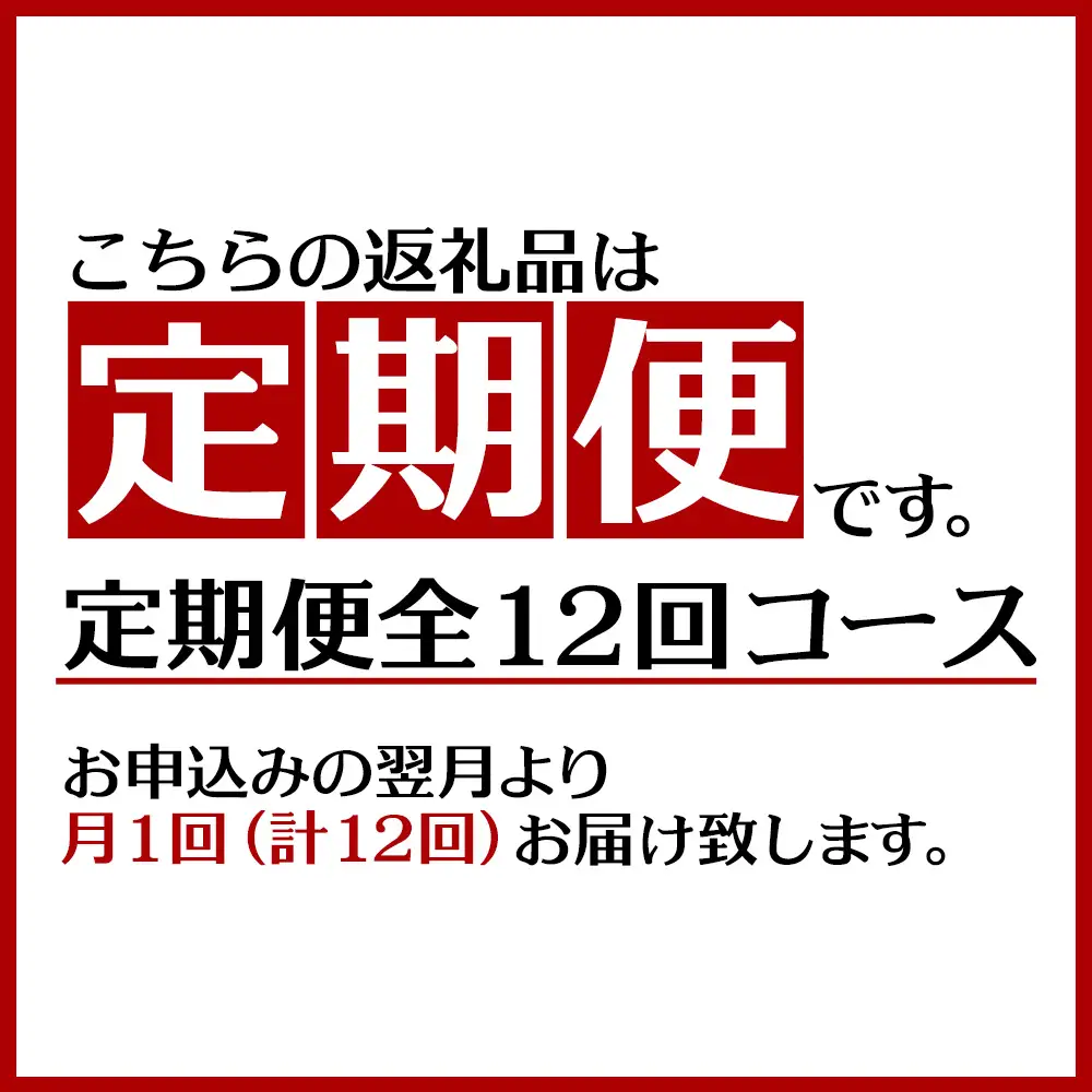 【定期便：12回】鶏白湯ラーメン 2人前（480g×2袋） 沖縄 大宜味村 らーめん こだわり 2人前 2袋 ふるさと納税 送料無料 ご当地 お取り寄せ グルメ 人気 定期 プレゼント 自分用 パイタン ぱいたん ラーメン