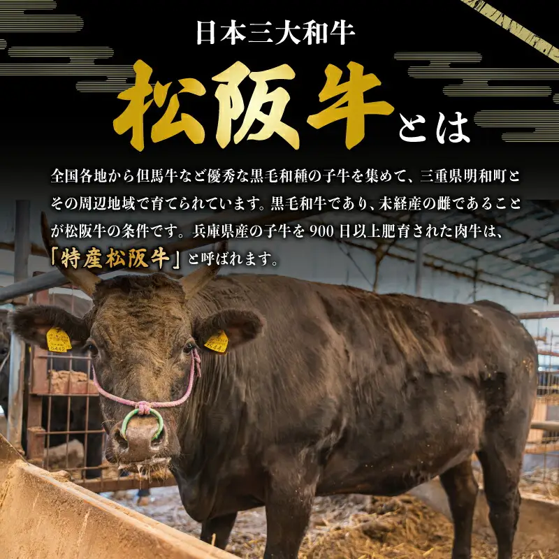 厳選切り落とし250ｇ MA4