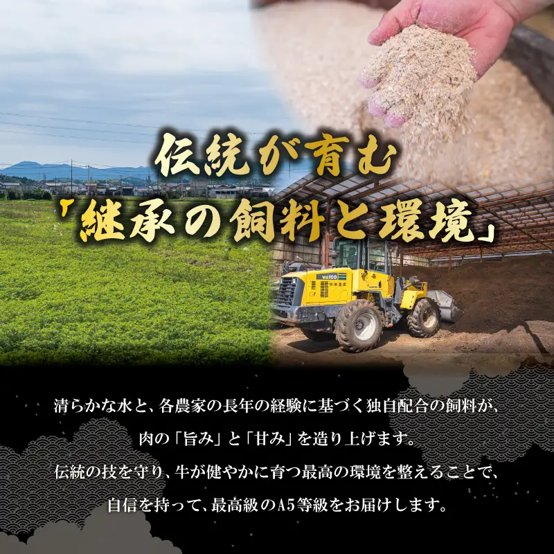 厳選松阪牛ローススライス500ｇ　MA10