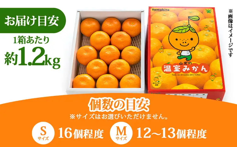 【2027年発送分】【2回定期便】山北温室みかん1.2kg 定期便 Wku-0066