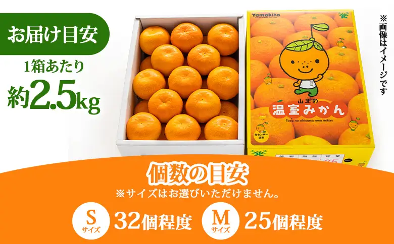 【３回定期便】山北温室みかん 2.5kg Wku-0062