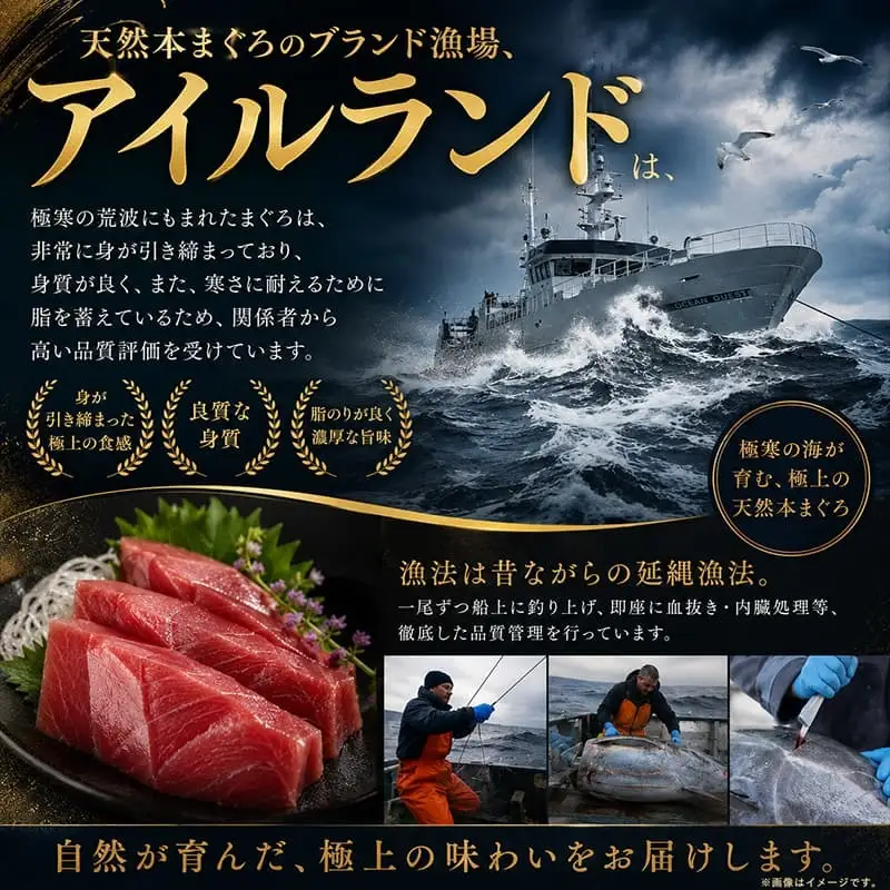 tk205 天然本鮪大トロ！1kg本マグロ・天然マグロ切り落とし FN-Limited-PR