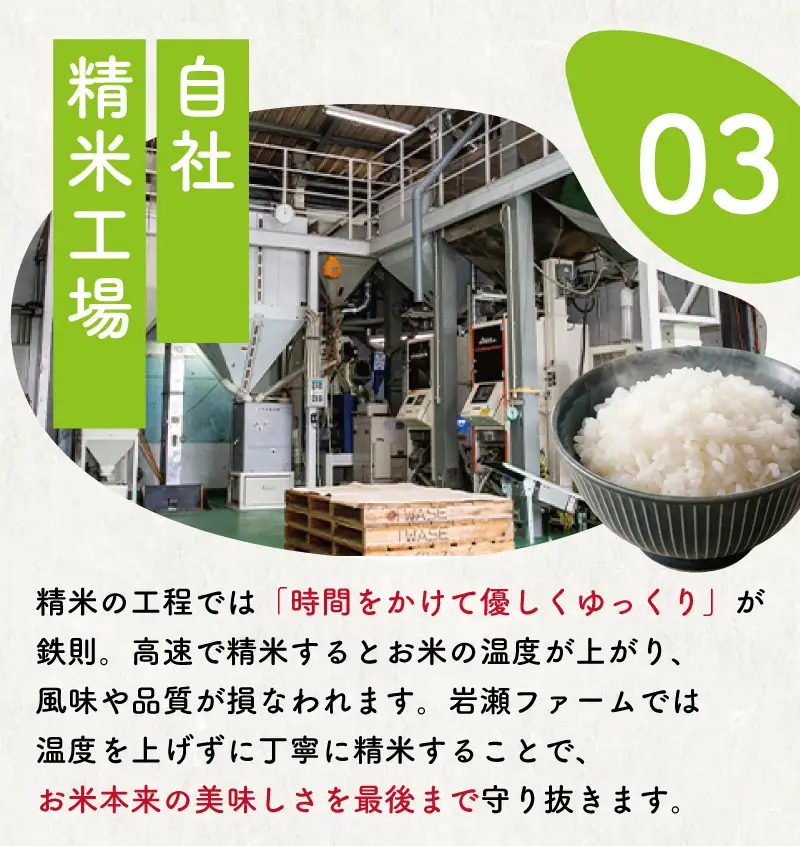 こしひかり 5kg コシヒカリ 8000円 令和7年産 [IWS004]