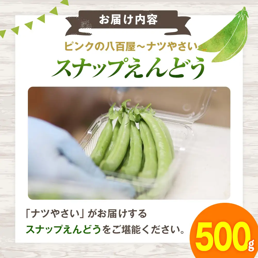 R8年産 スナップえんどう（品種：グルメ） 500g ピンクの八百屋〜ナツやさい〜 | 北海道津別町