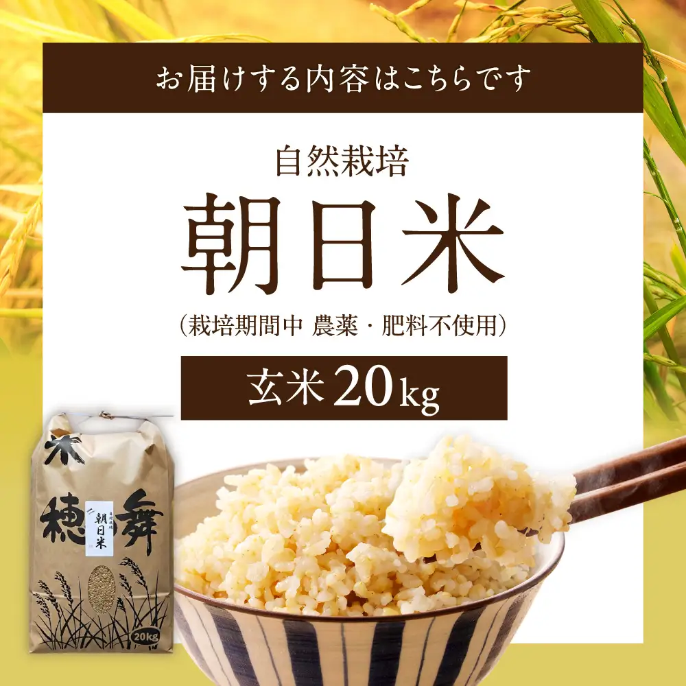 栽培期間中農薬・肥料不使用で作った朝日米 玄米20kg 粟屋農場 山口県 防府市 H17 玄米 朝日米 20kg 栽培期間中農薬不使用 肥料不使用 無農薬 自然栽培 在来種 希少米 佐波川