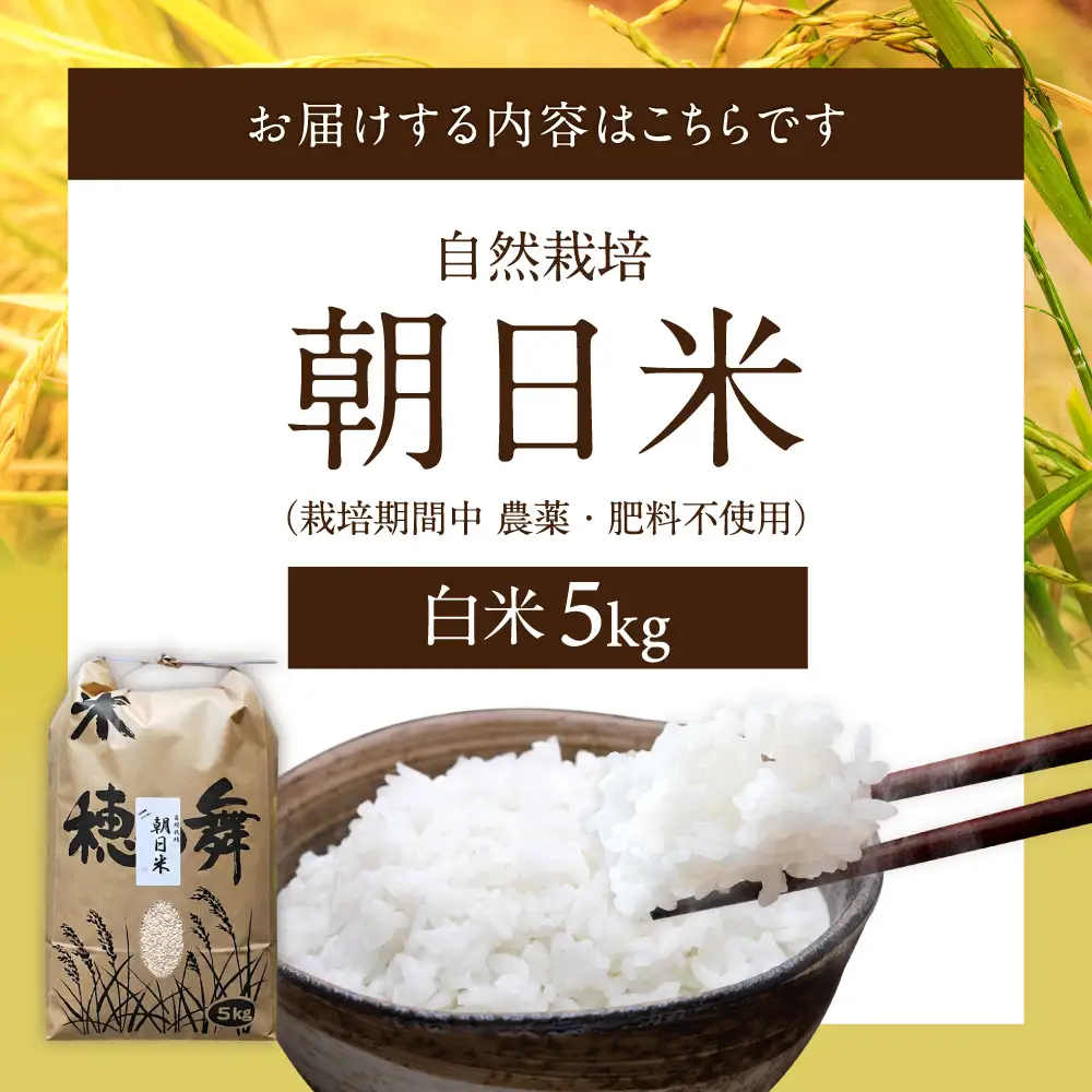 栽培期間中農薬・肥料不使用で作った朝日米 精米5kg 粟屋農場 山口県 防府市 B-B04 精米 朝日米 5kg 栽培期間中農薬不使用 肥料不使用 無農薬 自然栽培 在来種 希少米 佐波川