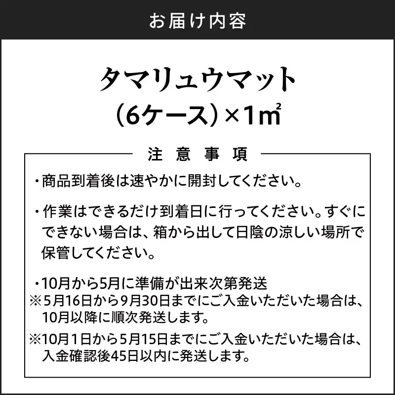 【10月から5月に発送】 タマリュウマット KN177-002 庭 芝生