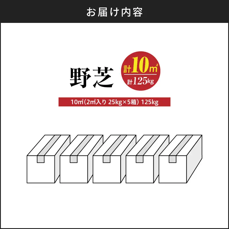 【10月から5月に発送】 野芝（10平方メートル） KN177-005-02 庭 芝生