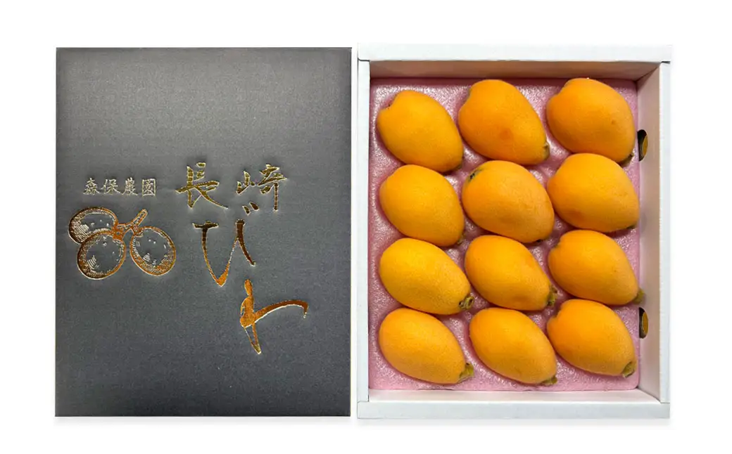 長崎市産びわ500g L玉サイズ（12個入） 贈答用箱入り  【2027年4月下旬-5月下旬発送予定】 びわ ビワ 果物 くだもの フルーツ 国産 国産フルーツ 常温 長崎県 長崎市