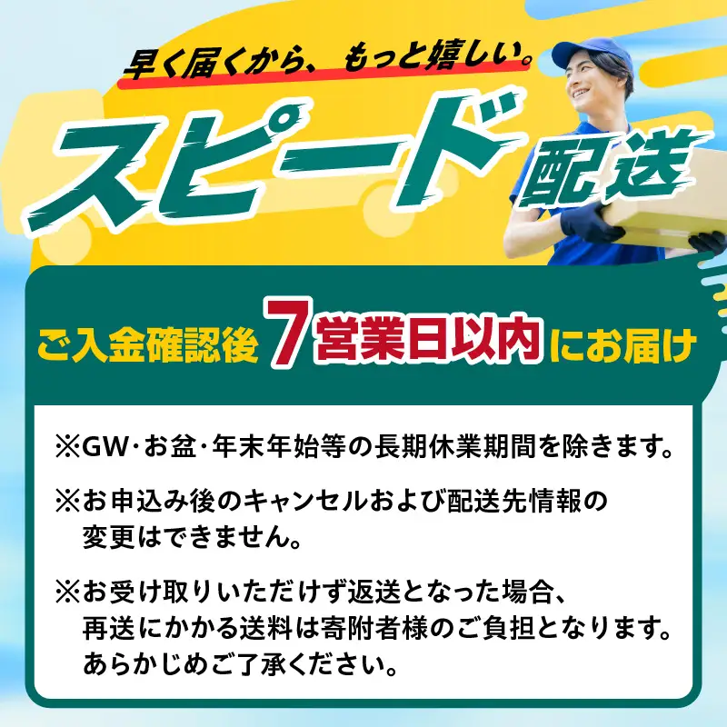 【愛知県産「あいちのかおり」100%使用】十一代目 伊平治のこめ粉（300g×4袋）｜国産米