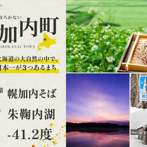 リフト券ほろたちスキー場1回券リフト券【5セット】