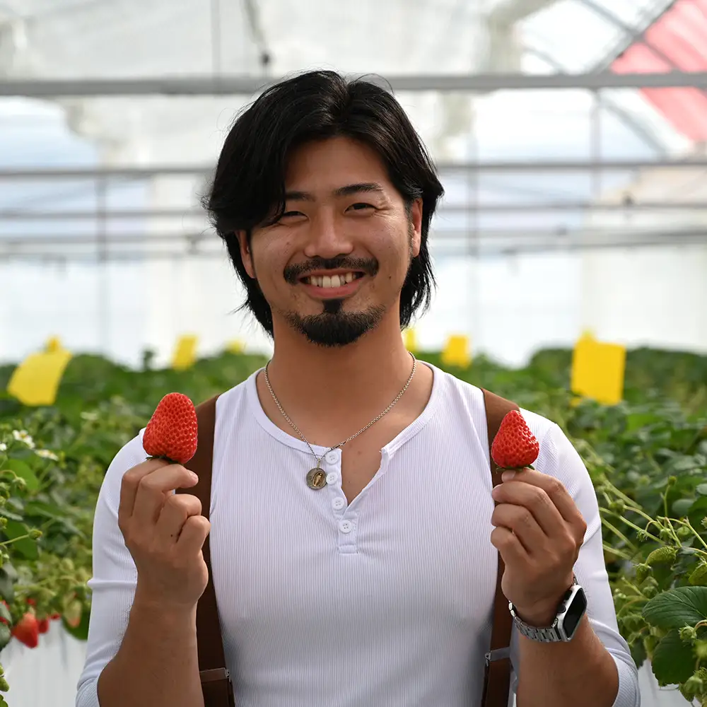 【先行予約】MIYA FARM いちご（品種：かおりの）12粒入り×2パック 合計 24粒 ※北海道・沖縄・離島への配送不可 ※2026年12月中旬～2027年5月下旬頃に順次発送予定