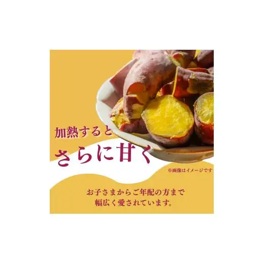 『えがお畑』で採れた安納芋 2.5kg