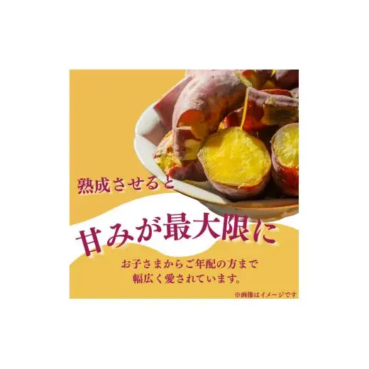 『えがお畑』で採れた紅はるか 2.5kg