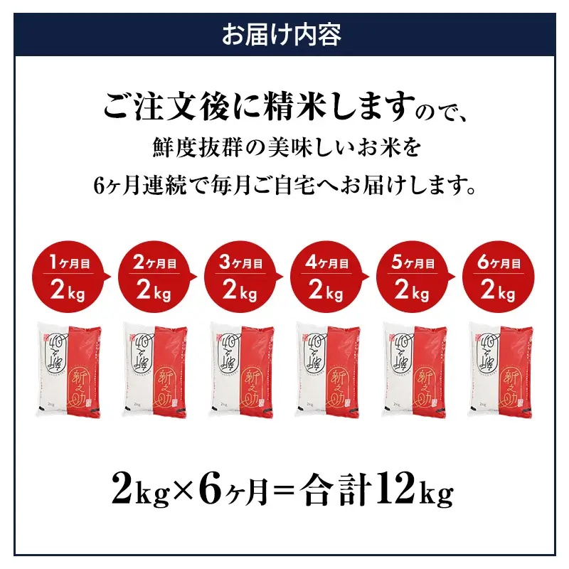6ヶ月定期便 令和7年産 新潟市産 新之助 2kg 白米 精米 新潟県産 米 お取り寄せ ブランド米