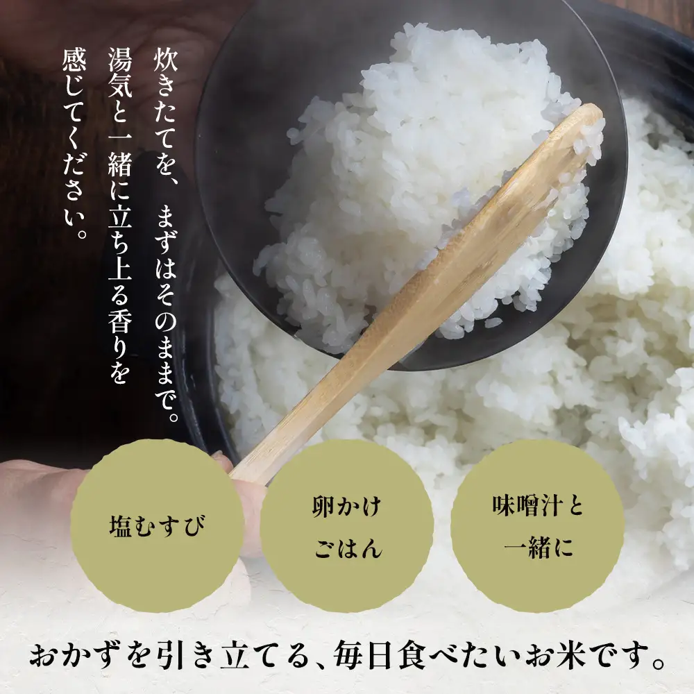 【先行予約】令和8年産 新米 ヒノヒカリ 5kg【2026年11月より順次発送】｜白米 米 棚田米 精米 ご飯 白ご飯 農事組合法人えしろ 宮崎県 諸塚村 ES-01